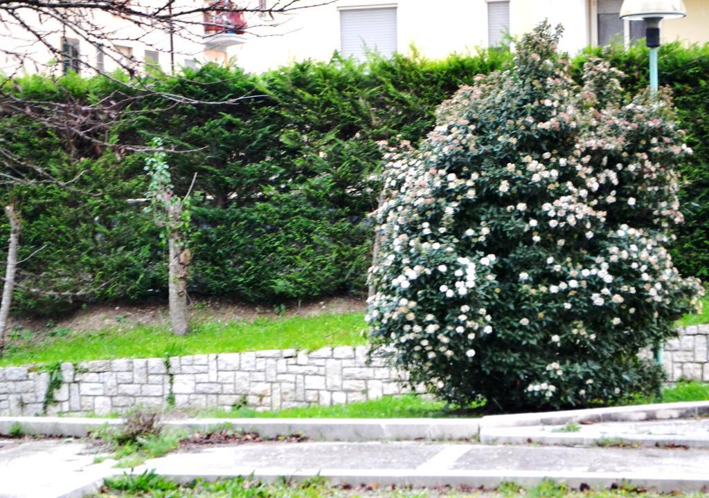 La Casa Di Olga Lägenhet Matera Exteriör bild